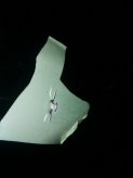 通辽福特汽车玻璃裂痕维修实例